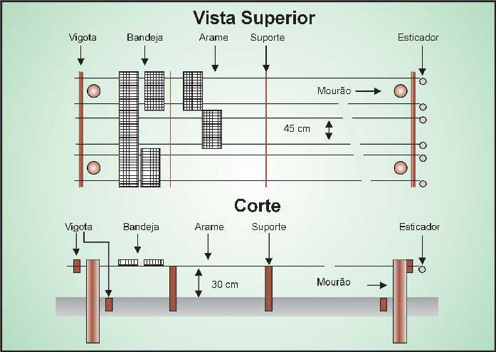 Vegetação para croqui e planta baixa